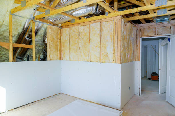 Best Insulation Inspection Services  in Huntley, IL