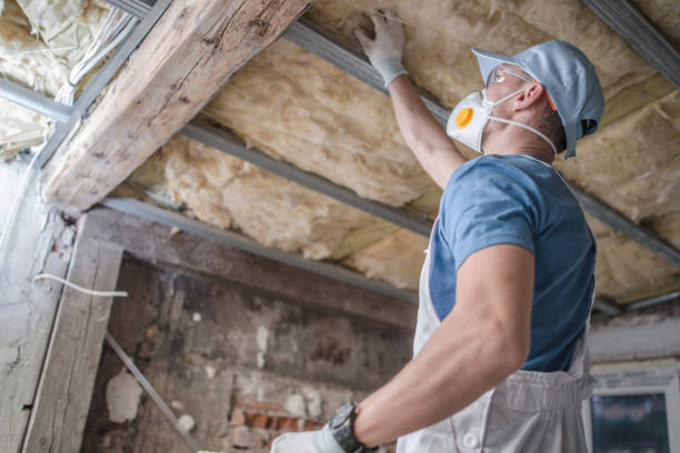 Best Insulation Contractors for Homes  in Huntley, IL