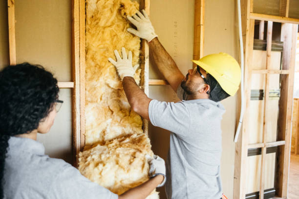 Best Attic Insulation Installation  in Huntley, IL