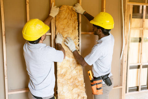 Best Spray Foam Insulation  in Huntley, IL