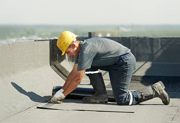 Best Insulation Repair Services  in Huntley, IL