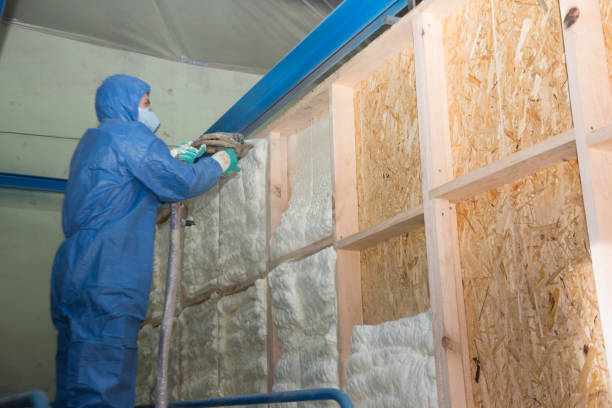 Best Insulation Contractor Near Me  in Huntley, IL