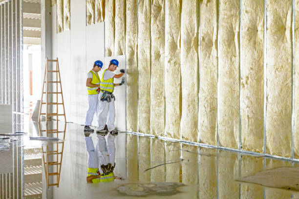 Best Insulation Replacement Services  in Huntley, IL